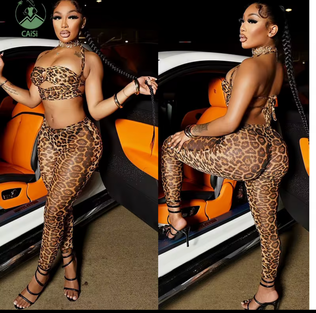Sexy Leopard 2 Piece Set