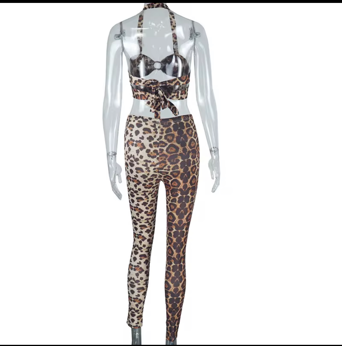 Sexy Leopard 2 Piece Set